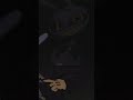 POMNI X JAX Celebran Halloween Comic Fandub The Amazing Digital Circus Pomni X Jax