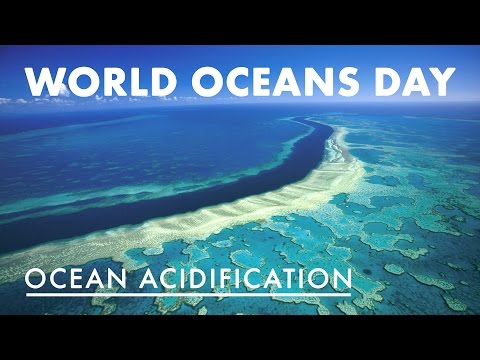 World Oceans Day - Ocean Acidification