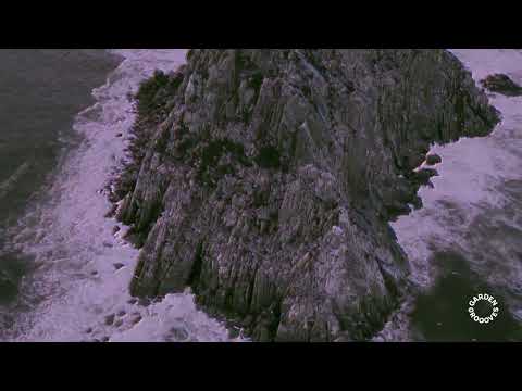 Mode 4 - Made.lx # Garden Grooves