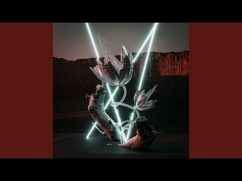 Contra Natura (Rick Offen Remix)