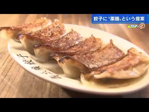 Comerlo mantendrá tu piel cálida y suave.¿Es esta gyoza medicinal la esencia de la belleza? Mucha ciudad de Hiroshima/Nakano Tana "Hisuehiro Gyoza" (06/02/2023 17:47)