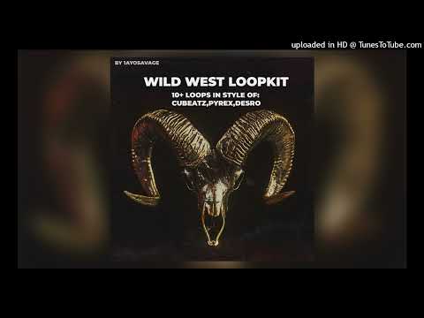 [FREE] "Wild West" Loop Kit/Sample Library (Southside, Pyrex Whippa, Doe Boy, Ethnic Type Loops)