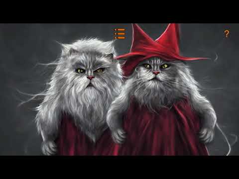 Puzzle: Wizard Cats Video