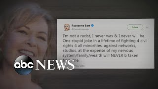 Roseanne Barr says &#39;I&#39;m not a racist,&#39; calls controversial tweet &#39;stupid joke&#39;