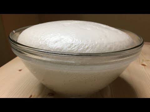 BASIC YEAST DOUGH | HOW TO MAKE BASIC YEAST DOUGH | YEAST DOUGH RECIPE