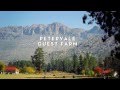Petervale Guest Farm