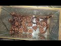 Caught A Whole Bunch Of Baby Roaches Thanks To The Technique Videoanimal Millipede
