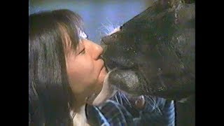 女子アナが本物の牛とディープキス！投稿特ホウ王国