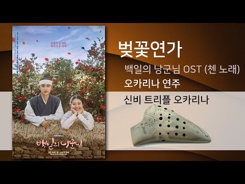 벚꽃연가 - 드라마 백일의 낭군님 OST