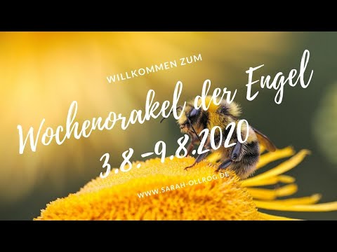 Wochenorakel der Engel 3.8.-9.8.2020 Was bringt die neue Woche?