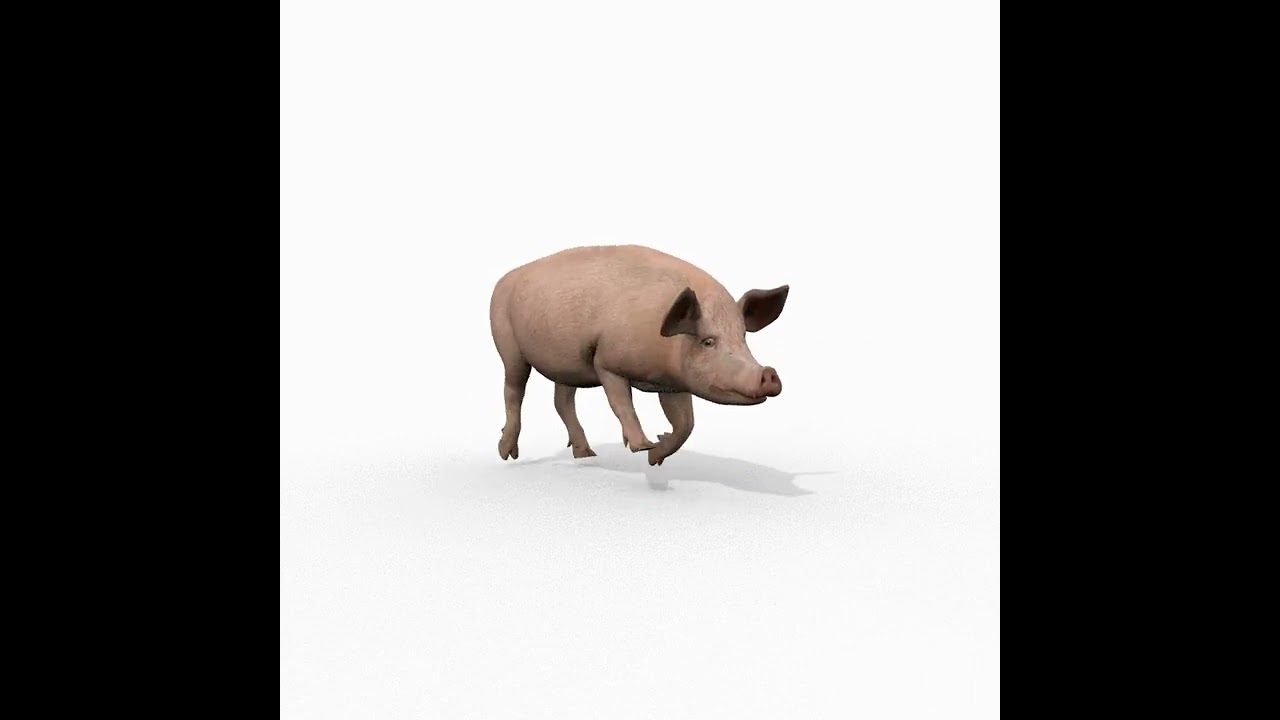Porky the pig - animated 3d fur model 3D Model