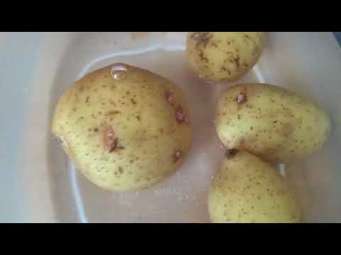 Small Potatoes Theme Song