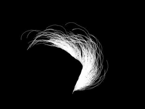 Collatz conjecture visualisation - 1 to 50000