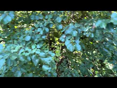 Matúšova chata - Valča 4
