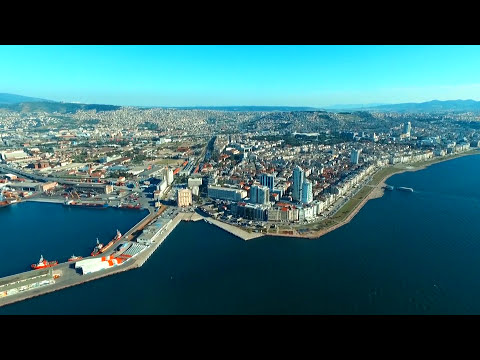 Lisa Digital Marketing Services video.