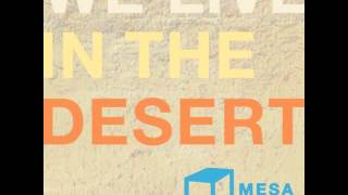 David Last & Petrichoir - Canoe Dub [MESA009]