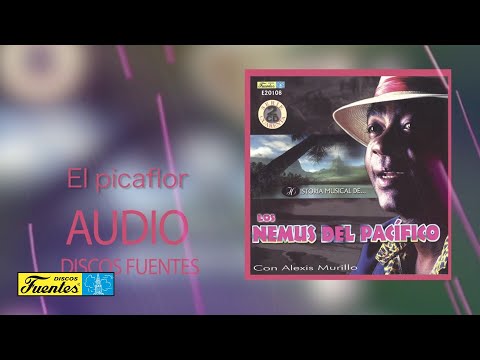 Los Nemus del Pacifico - El picaflor (Video Tapa) | Discos Fuentes