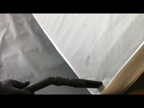 Vacuuming up bed bugs in Trenton, NJ