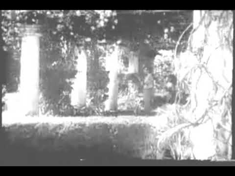 ලංකාරෙන් මලක්.