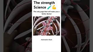 Download lagu Adrenaline Rush Explained: The Science Behind the Thrill mp3