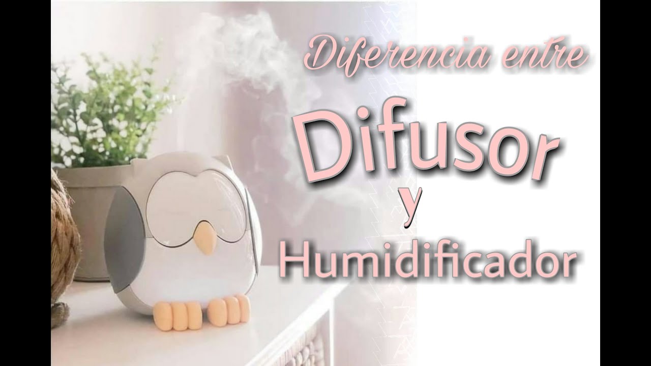 Watch Diferencia entre Difusor y Humidificador Now Diferencia entre Difusor y Humidificador