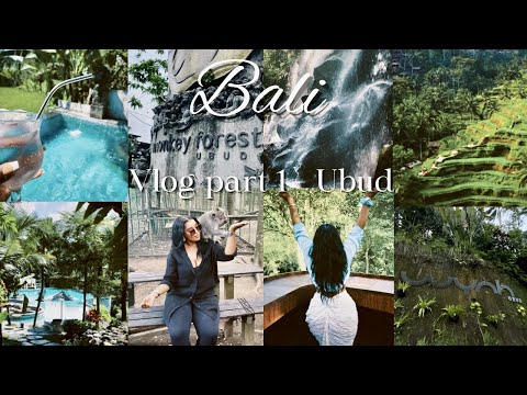 BALI 2022 VLOG PART 1: UBUD MONKEY FOREST, WATERFALLS AND MORE