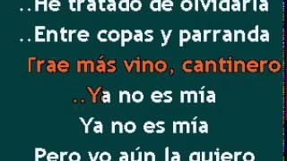 Karaokanta - Flor Silvestre - Las noches las hago días