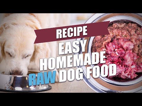 download lagu mp3 mp4 Easy Raw Dog Food Recipes, download lagu Easy Raw Dog Food Recipes gratis, unduh video klip Easy Raw Dog Food Recipes
