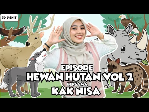 Learn to Play Jungle Animals Episode VOL 2 For Toddlers - Get to Know Animals, Interactive Songs