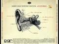 Afro Celt Sound System - Anatomic Sené (Working The Land)
