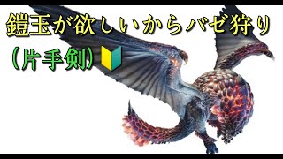 【MHWアイスボーン】鎧玉欲しい