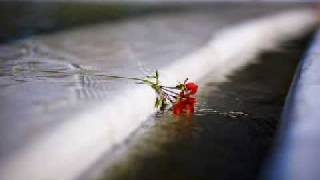 Jana Mashonee Sunday Morning