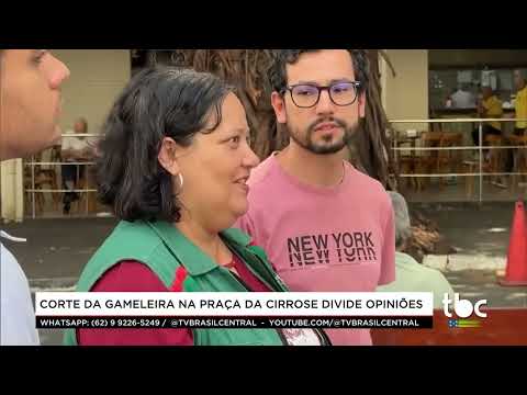 Segurança Máxima |21-09-26| Corte de Gameleira na Praça da Cirrose divide Opiniões