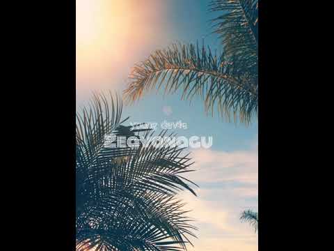 Young Davie - Zeavanagu (2020)