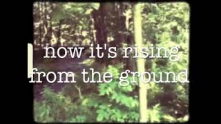 The Earth Is Yours   Gungor