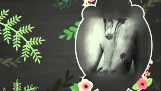 ✿⊱  Senza te - Negramaro  ✿⊱