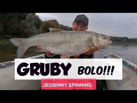 Autumn Spinning | Gruba RAPA | Pike