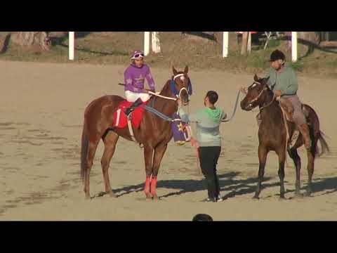 SINT COLONIA - 220707 c08 1° OBI