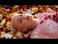 Maja Francis - Last Days Of Dancing 