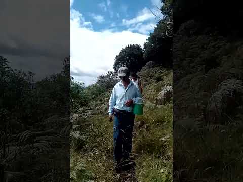 al fondo Buesaco Nariño