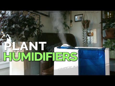 YouTube video about: Where to place humidifier for plants?