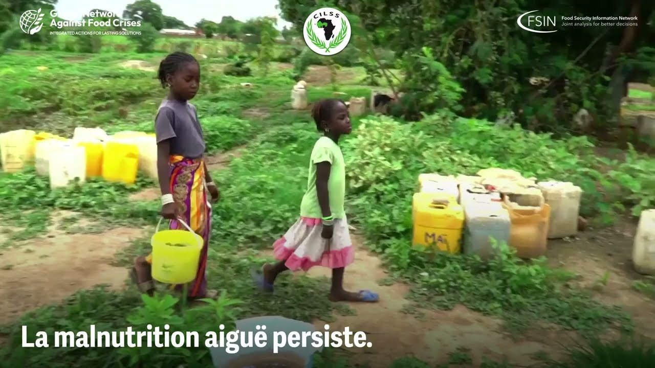Rapport Régional sur la Sécurité Alimentaire et Nutritionnelle au Sahel et Afrique de l’Ouest 2024