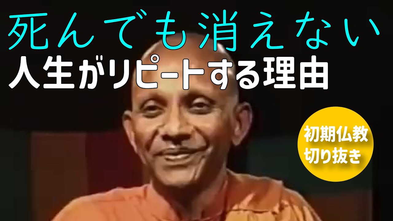【仏教切り抜き】死んだらどうなるの？/人生がリピートする理由/輪廻は楽しくない