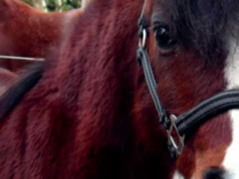 Ja, ich denke oft an diese Zeit zurück'..