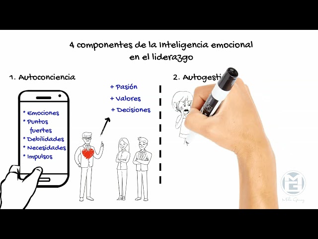 Vídeo relacionado con Liderazgo emocional: Nueve estrategias para liderar con inteligencia (Ensayo)