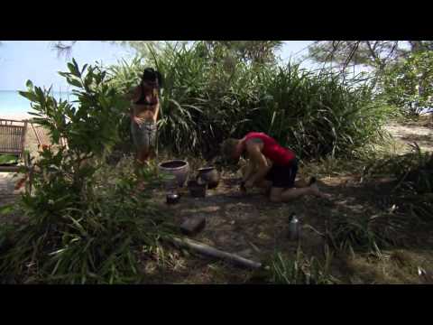 Robinson Love Edition   Edens Lustgård Avsnitt 7