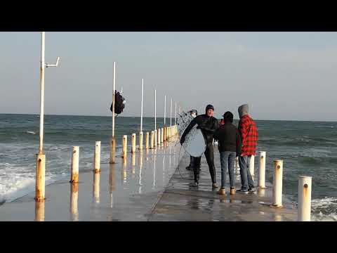 Spring 😍 love fever in Odesa. Elvis is here!