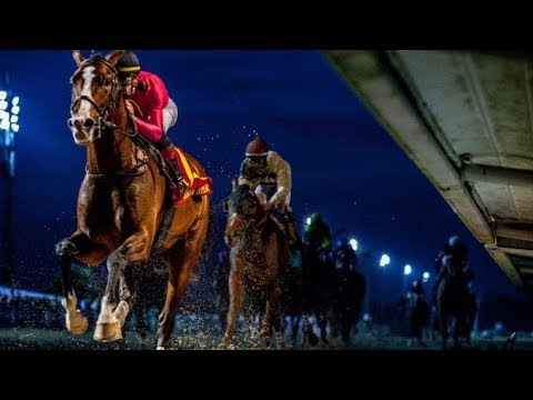 Risen Star Stakes (G2)  2019 -  War Of Will