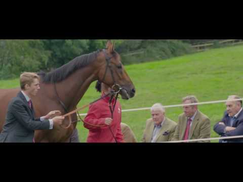 Paul Nicholls Open Day 2016 - PART 3