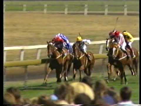1986 Black Opal Stakes